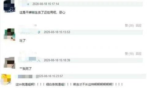 陈赫婚后爆料视频大全,揭秘明星夫妻背后的真实生活  第3张